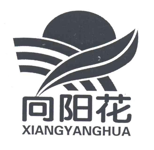 向阳花;XIANG YANG HUA