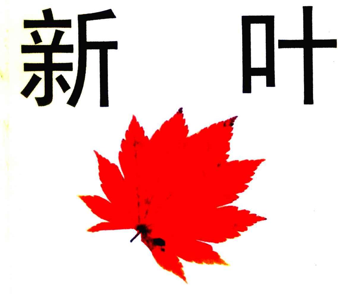 新叶