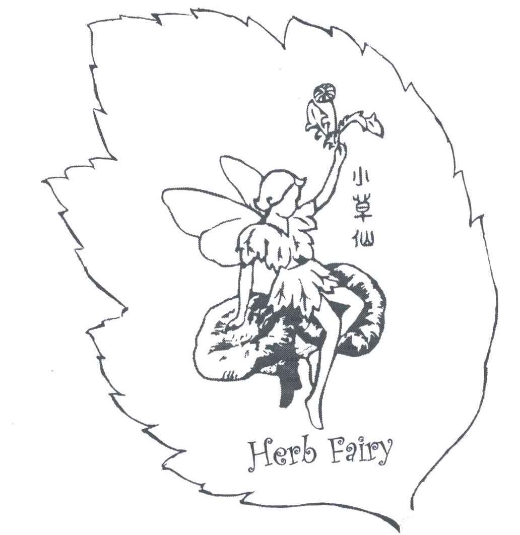 小草仙;HERBFAIRY