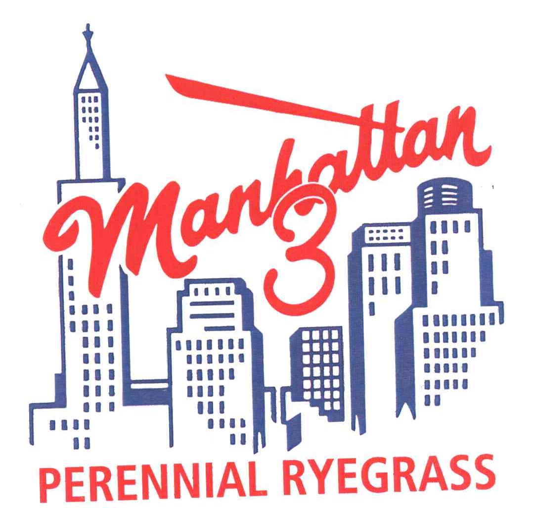 MANHATTAN PERENNIAL RYEGRASS