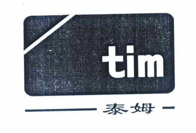 泰姆 TIM