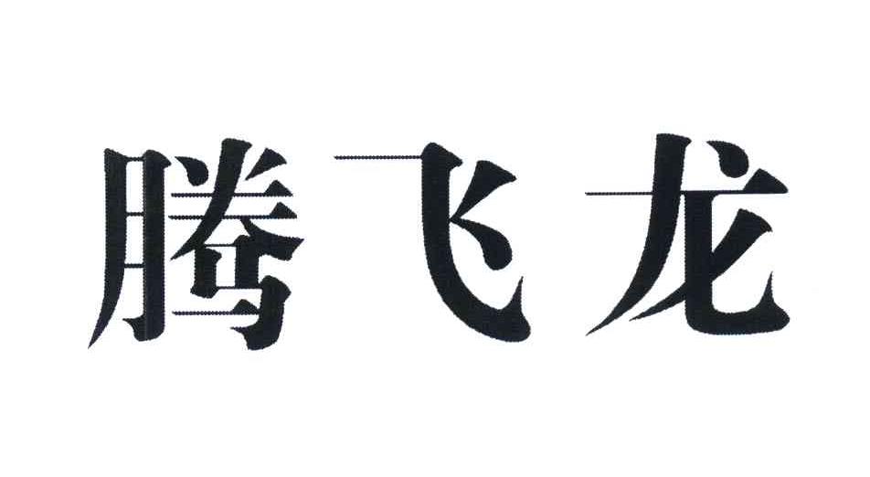 腾飞龙
