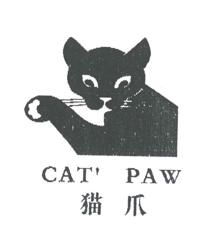猫爪CAT'PAW