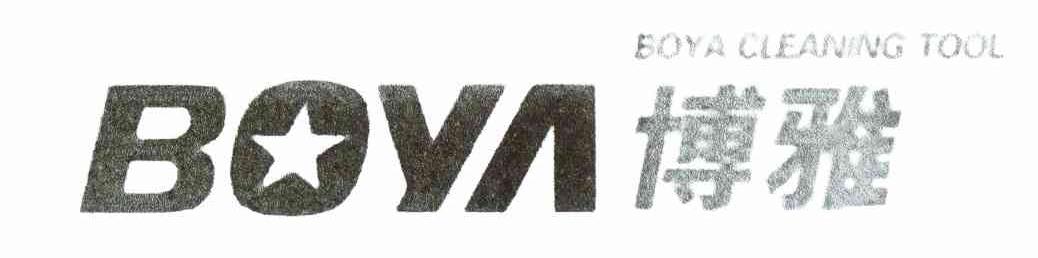 博雅 BOYA CLEANING TOOL