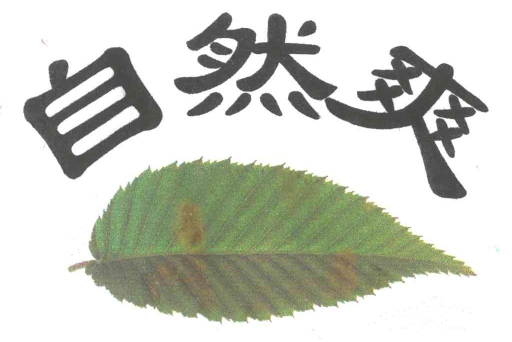 自然爽