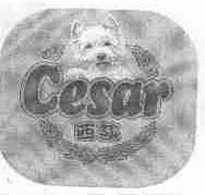 西莎;CESAR