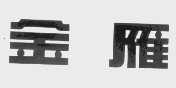 金雁