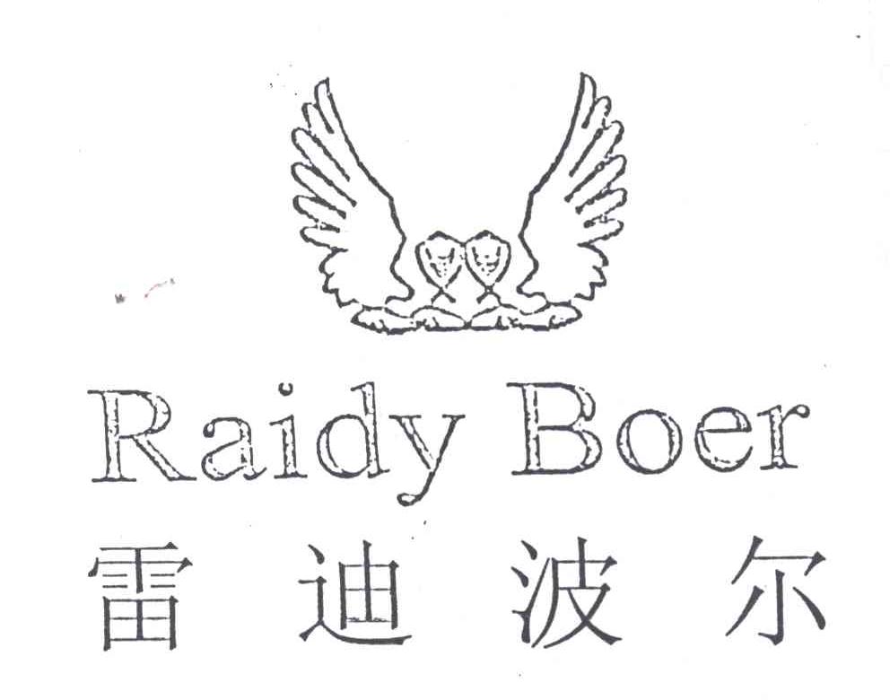 雷迪波尔;RAIDY BOER