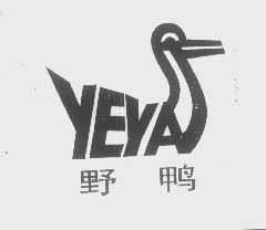 野鸭