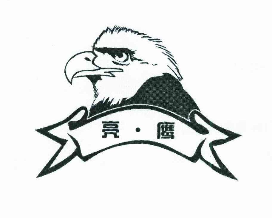 亮.鹰