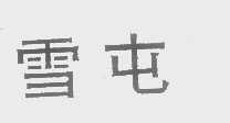 雪屯