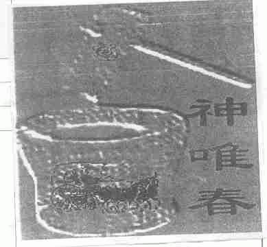 神唯春