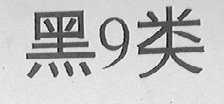 黑9类