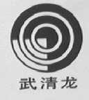 武清龙