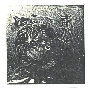 东北虎