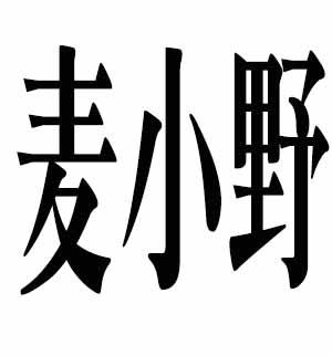 麦小野