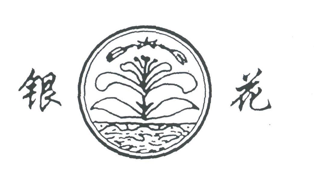 银花