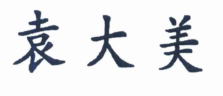 袁大美