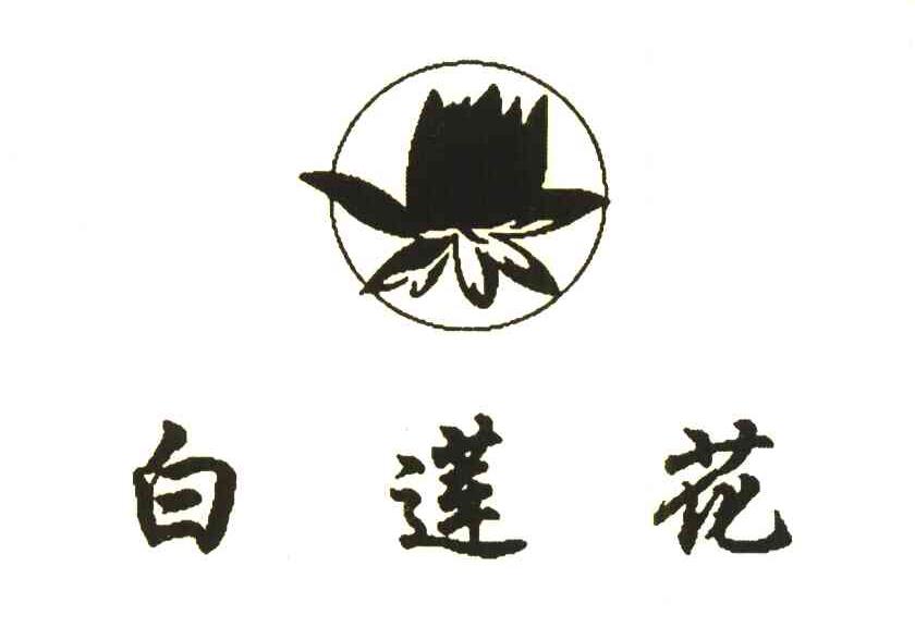 白莲花