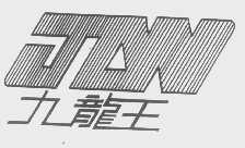 九龙王