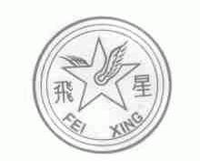 飞星