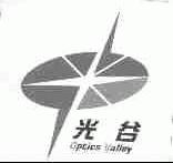 光谷;OPTICS VALLEY