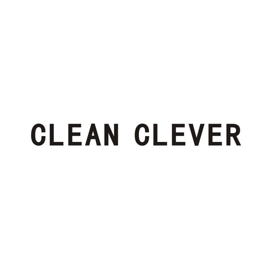 CLEAN CLEVER