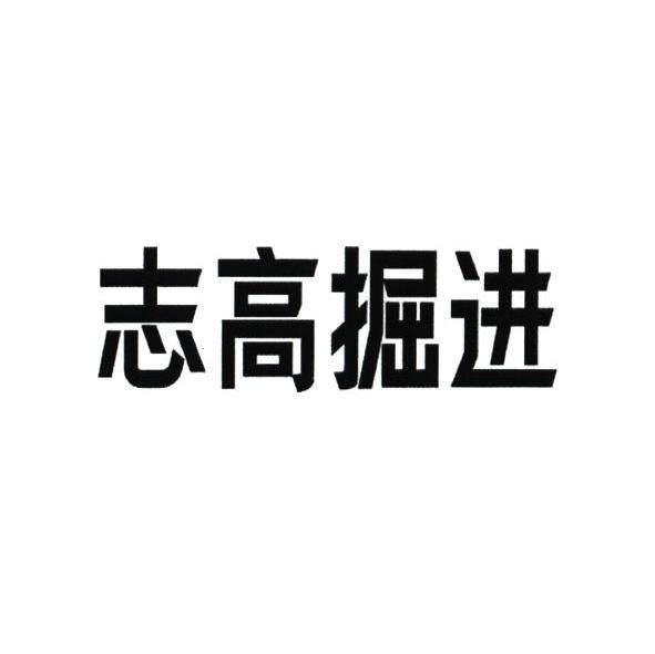 志高掘进