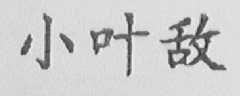 小叶敌