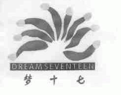 梦十七;DREAMSEVENTEEN