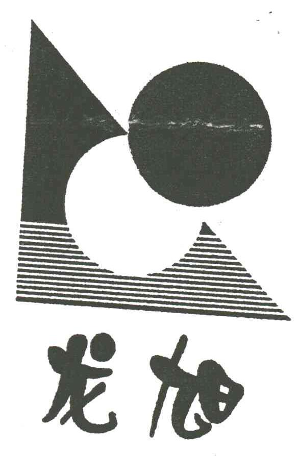 龙旭