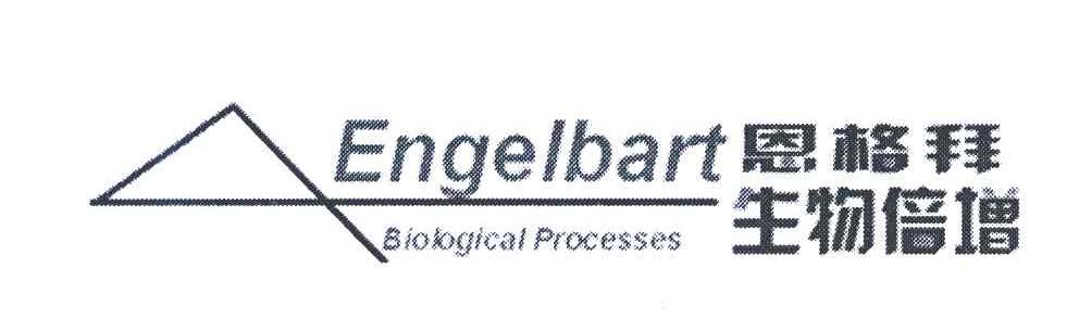 恩格拜生物倍增;ENGELBART BIOLOGICAL PROCESSES