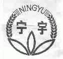 宁宇
