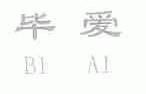 毕爱