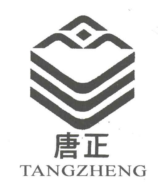 唐正;TANGZHENG