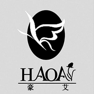 豪艾