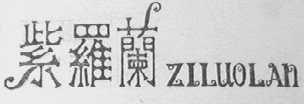 紫罗兰