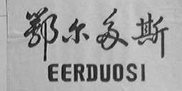 鄂尔多斯    EERDUOSI
