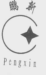 鹏新