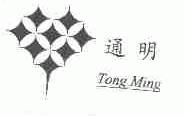 通明