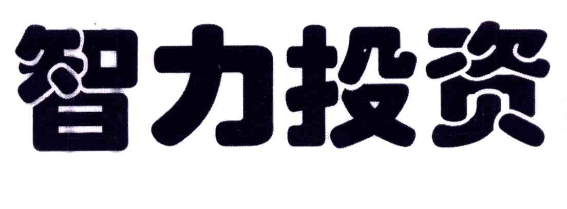 智力投资