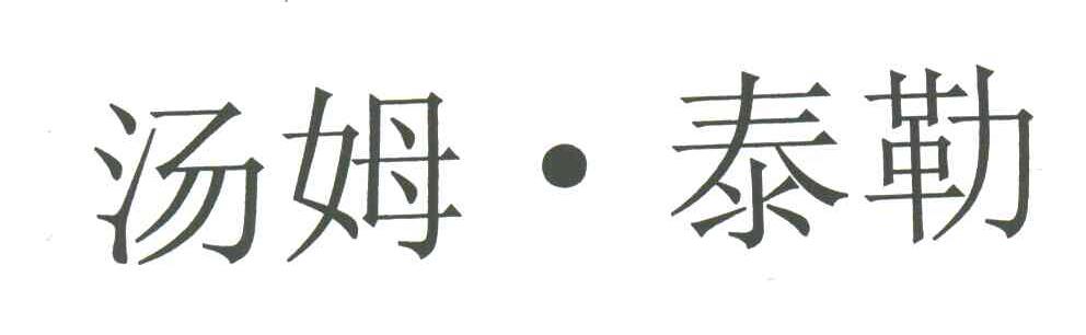 汤姆泰勒