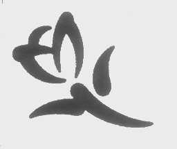 图形