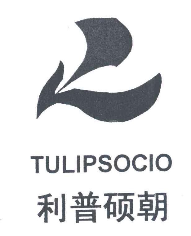 利普硕朝TULIPSOCIO