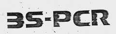 BS-PCR