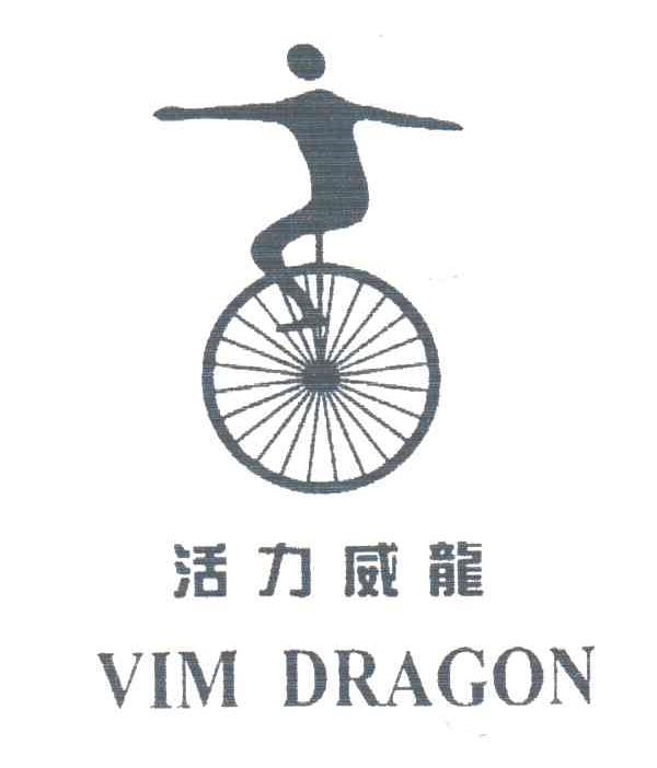 活力威龙;VIM DRAGON及图形