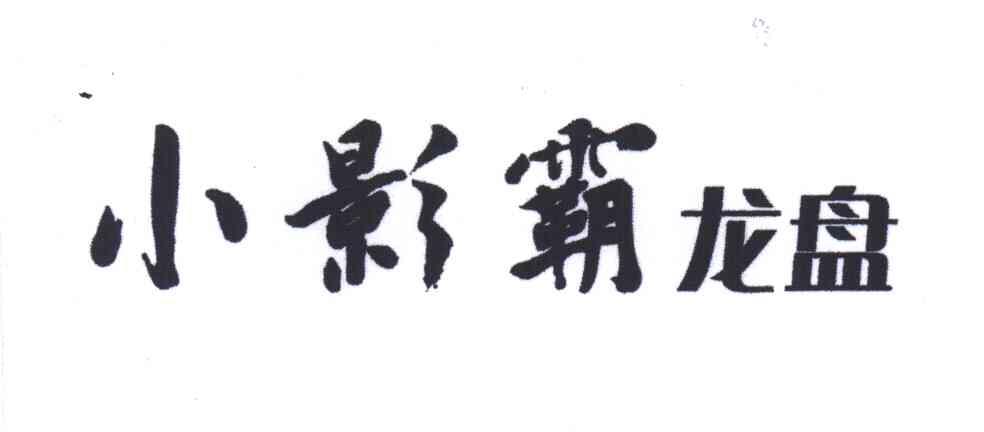 小影霸龙盘