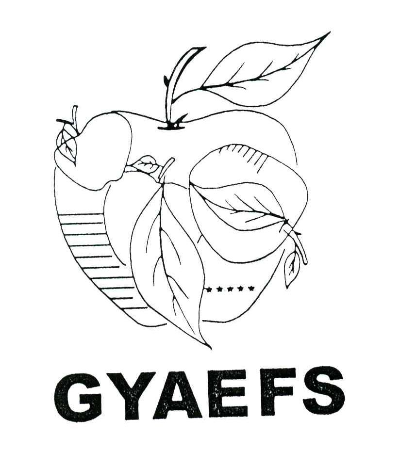 GYAEFS及图形