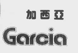 加西亚   GARCIA