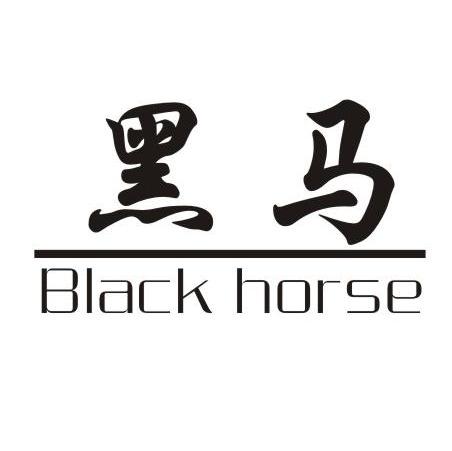 黑马 BLACK HORSE